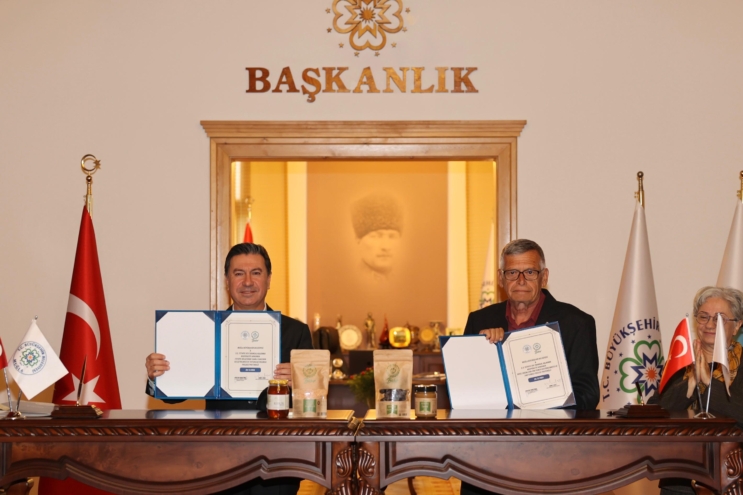 Muğla’da Sakız ağaçları korunacak