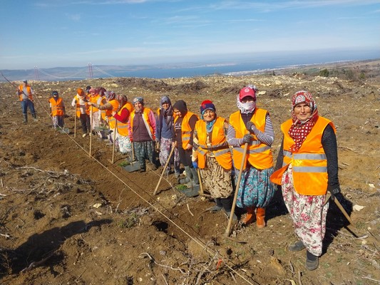 Çanakkale’de kınalı ellerden 5 milyon fidan – Birlik Haber Ajansı