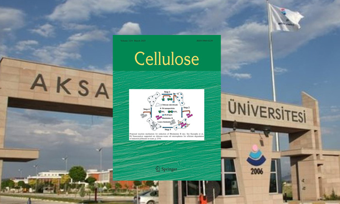 Türk bilim insanlarının çalışması Cellulose Dergisi’nin kapağında