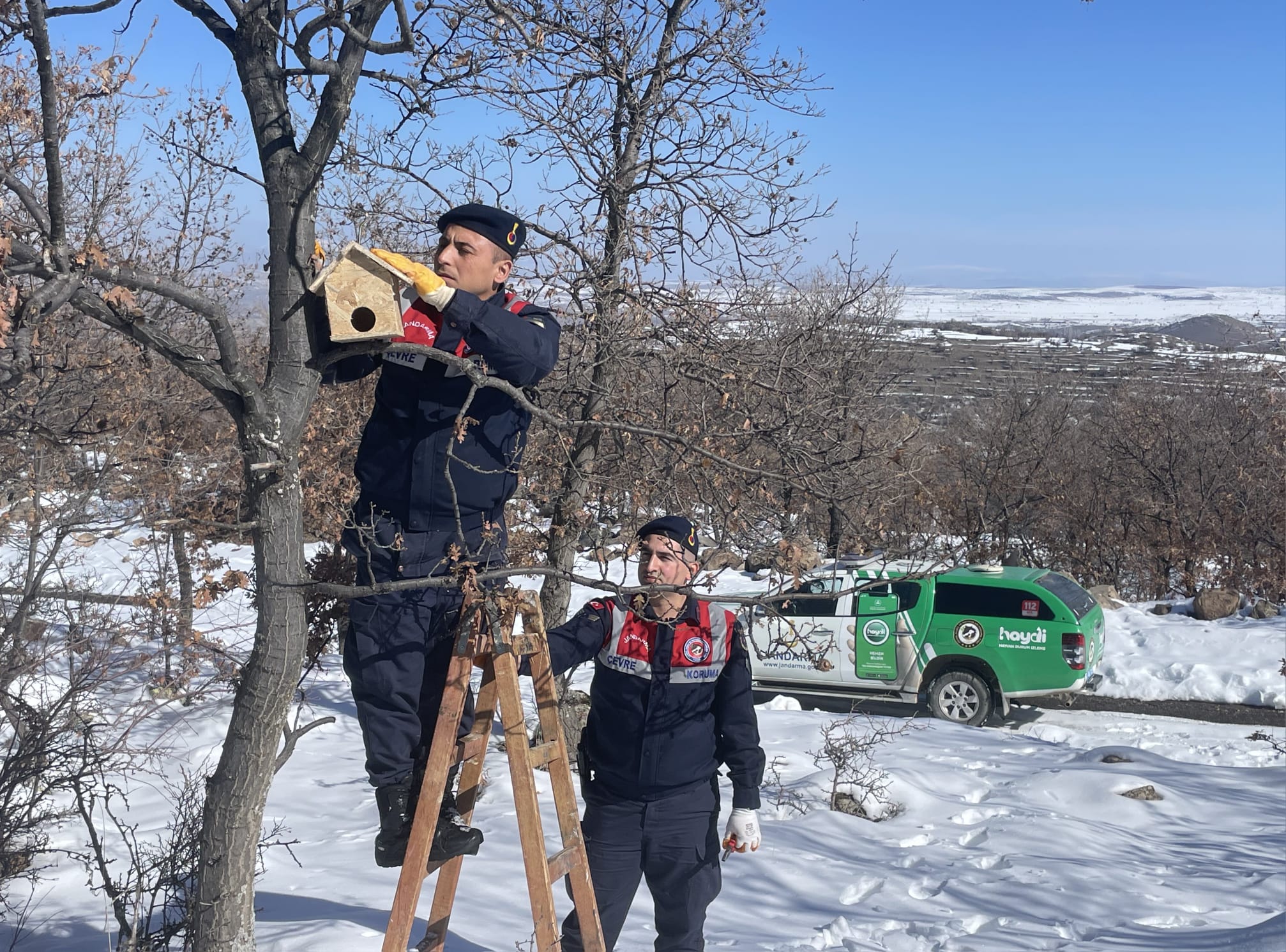 Aksaray’da Jandarma ekipleri kuşları unutmadı