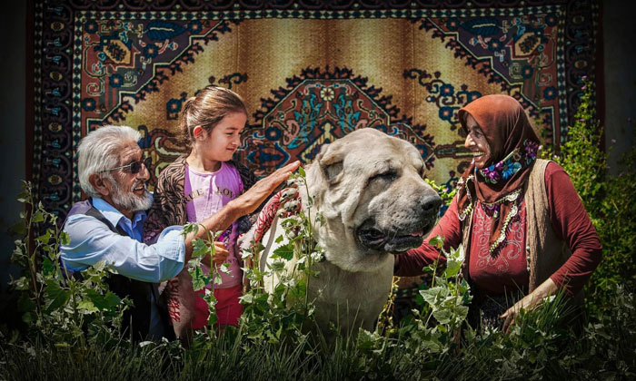 Aksaray’da şehir, sokak ve doğa hayatı fotoğraf yarışması sonuçlandı