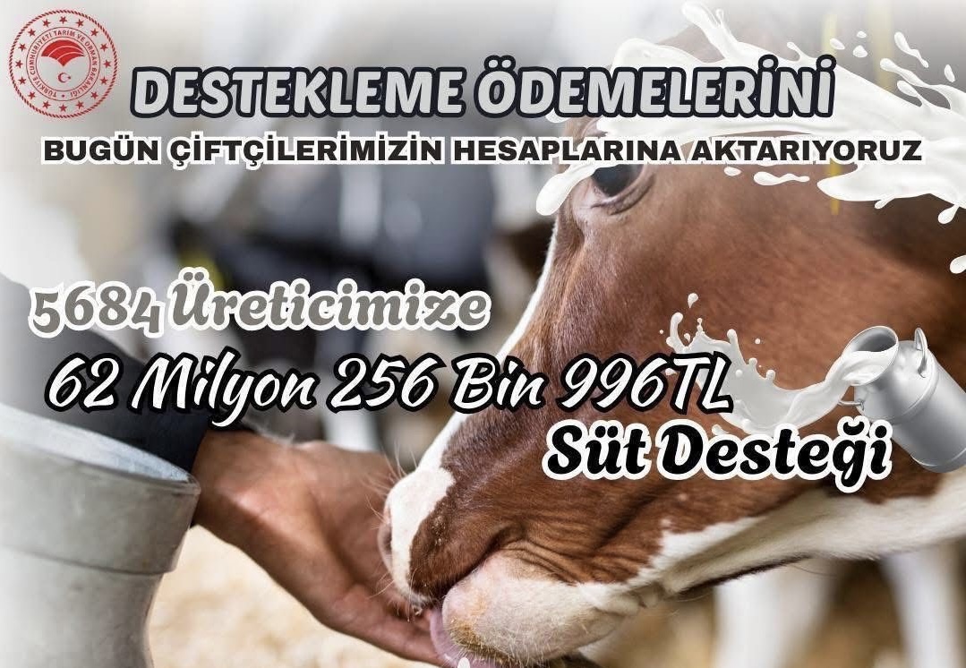 Aksaraylı üreticilere 62 milyon liralık süt desteği