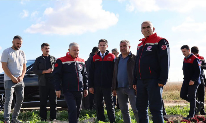 Vali Duru, Eskil’de salçalık domates hasadına katıldı