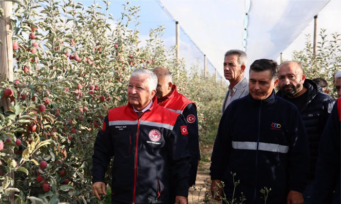 Eskil’de elma bereketi: Üretimin yüzde 90’ı ihraç ediliyor